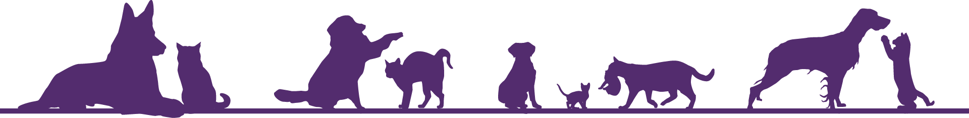 Cats and Dogs Illustration