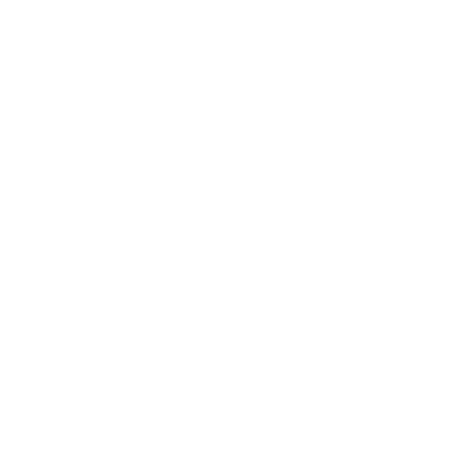 Dog Stiffness or limping