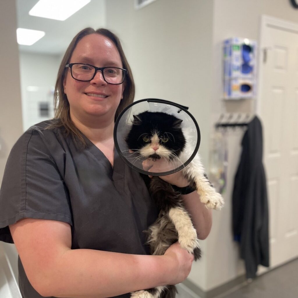 Team member standing with a kitten on her lap Team member standing with a kitten on her lap