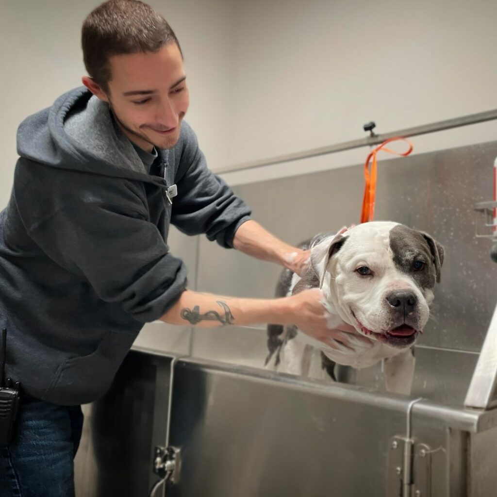 Adam Bathing Adam Bathing