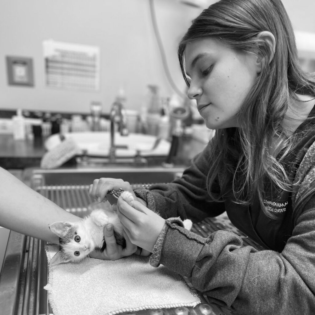 Ashley nails Ashley nails