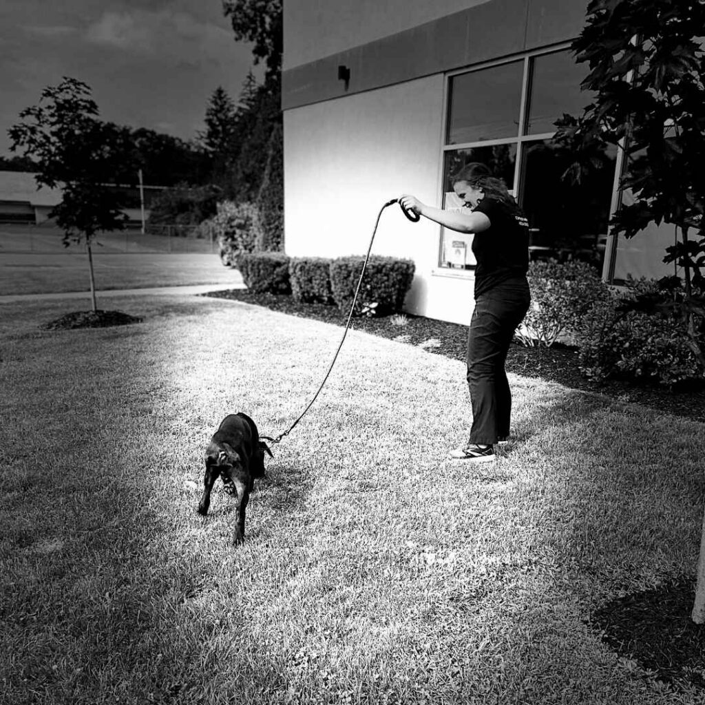 CH and puppy CH and puppy